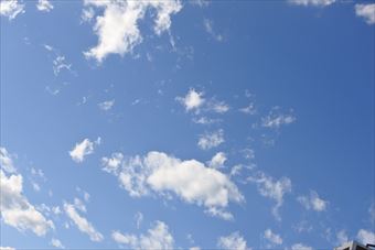 今日もいいお天気です