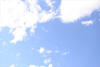 いいお天気です