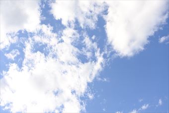 天気予報通り。晴れてます