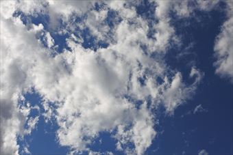 雲が出てきたな。ひと雨くるかな。