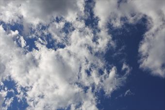 雲行きあやしくなってきたぞ。夕立ち来るかな