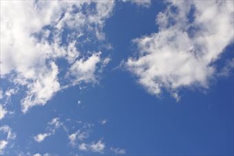 本日、天気予報どおり。晴れています。