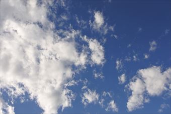 真っ青な空だねぇ