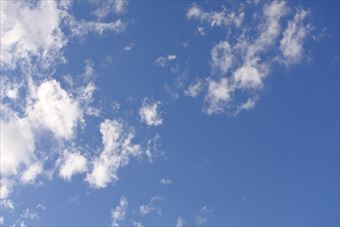 気持ちよく晴れています。