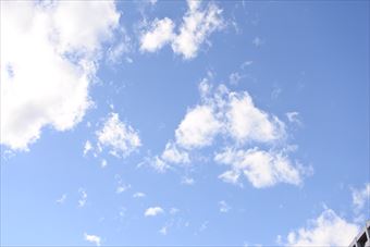 いいお天気だねぇ。