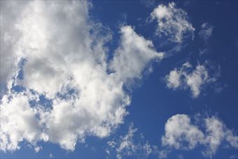 ひと雨ありそうな雲行きです