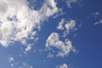 いいお天気です