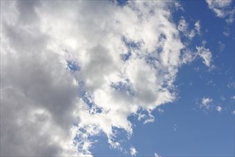 黒い雲が湧いてきた。ひと雨くるかな