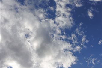 曇ったり晴れたりのお天気でした