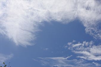 いいお天気です