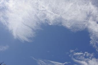 ありがとう。今日もいい天気