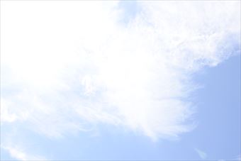 夏の陽ざしは強いな