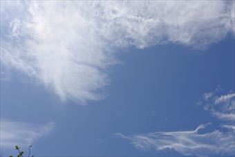 いつか青空を仰ぎたい