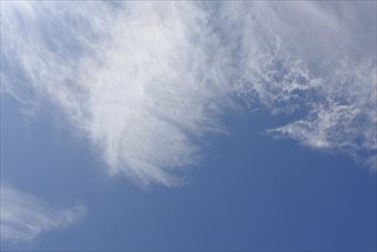 庭で撮った青空