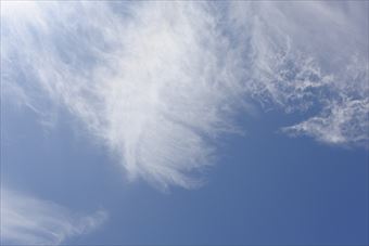 いい天気になりました。よかったです。