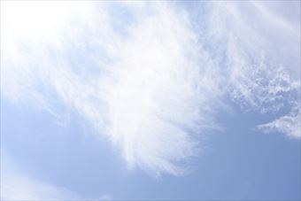 良く晴れています。