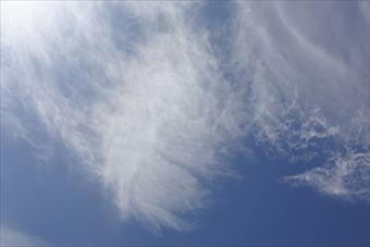 白い雲。うっとり。