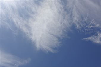 晴れてうれしいです