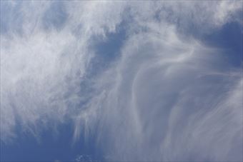 うれしいな。いい天気でうれしいな