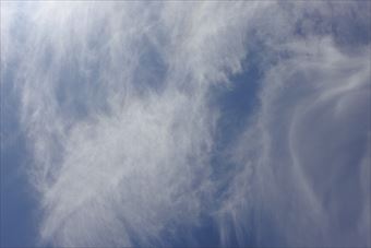 庭に寝っ転がって空を見上げていました