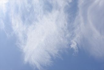 晴れて気持ちいいな