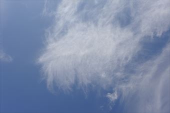 よく晴れています。