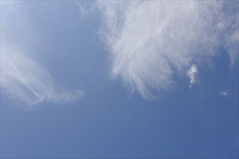 夏空。大好き。