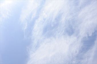 晴れてよかった。