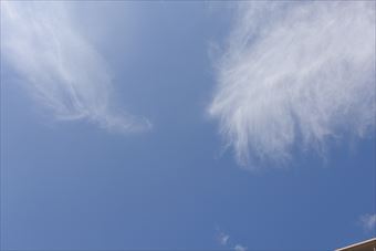 面白い雲だったので写真に撮りました