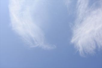 今日の天気は晴れ