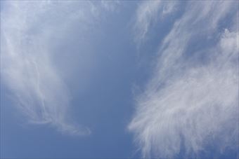 天気がいいと気持ちまで晴れやかです