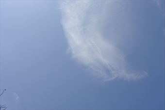 いいお天気でよかったです