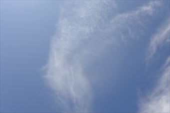 天気予報は雨でしたがよく晴れています