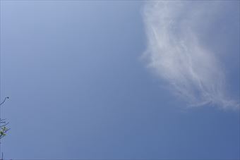 いい天気だなぁ