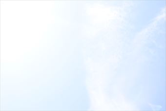 陽ざしが強いです