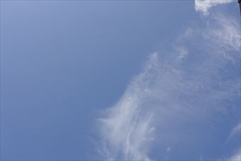 快晴。気持ちのいい１日になりそうです