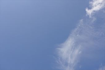 真っ青な空がきれい。思わず写真に撮りました