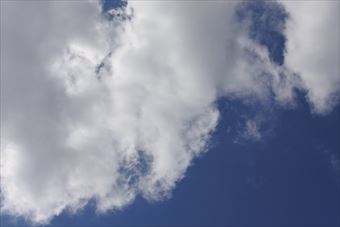 ちょっと黒い雲が出てきたなぁ。傘いるかな