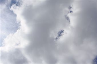 雨降るのかなぁ。天気が崩れてきました
