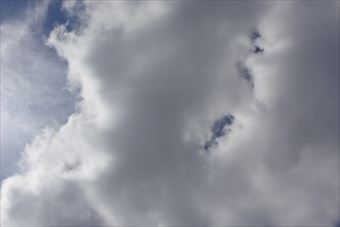 こりゃひと雨くるね。変わりやすい天気です