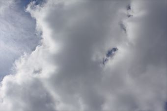 雨雲かな。いい天気だったのに空が暗くなってきました