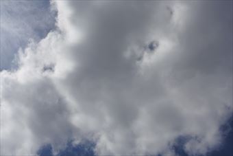 真夏の陽気。恵みの雨になりそう。