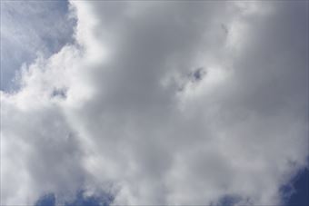 夕立ちが来そうな空模様になってきました