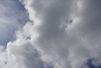 怪しい雲だなぁ。ひと雨くるかな。