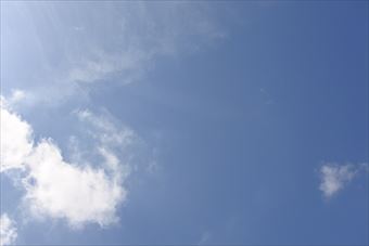 真っ青な空に見とれてしまいました