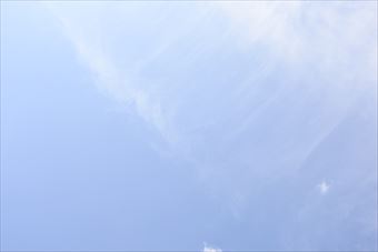 夏の陽ざしがまぶしいです