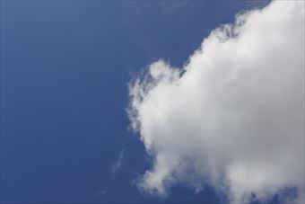 空の青と雲の白。コントラストがきれい