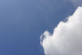 鳥になってきれいな空を飛んでみたい