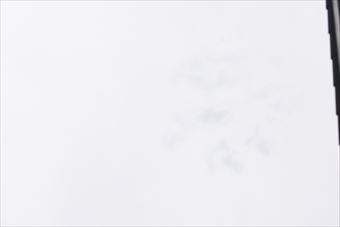 曇りです。空が白い