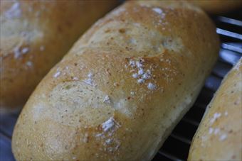 今日も美味しく焼きあがったパン